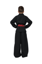 Little Samurai - Image 2